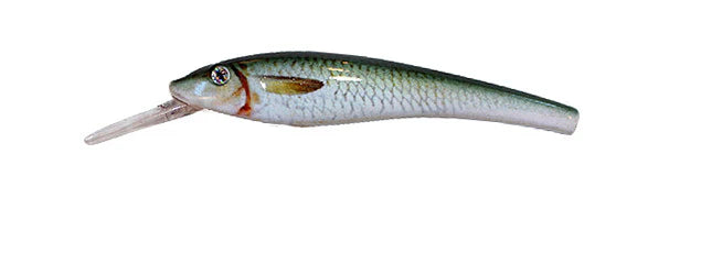 Gator Bait 100 - Emerald Shiner