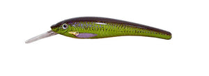 Gator Bait 100 - Kiwi