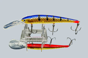 Purple Perch - Lake Erie Slammer