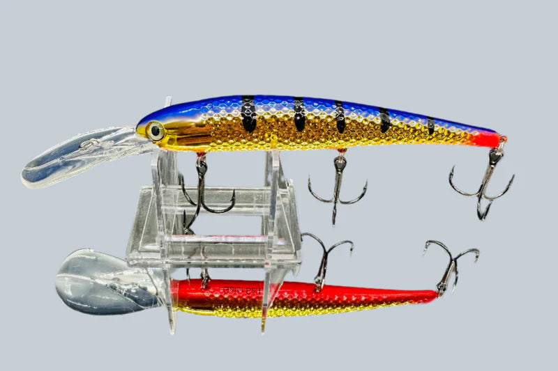 Purple Perch - Lake Erie Slammer