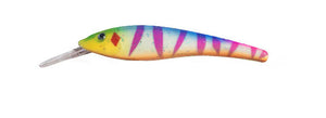 Gator Bait 100 Rainbow Perch