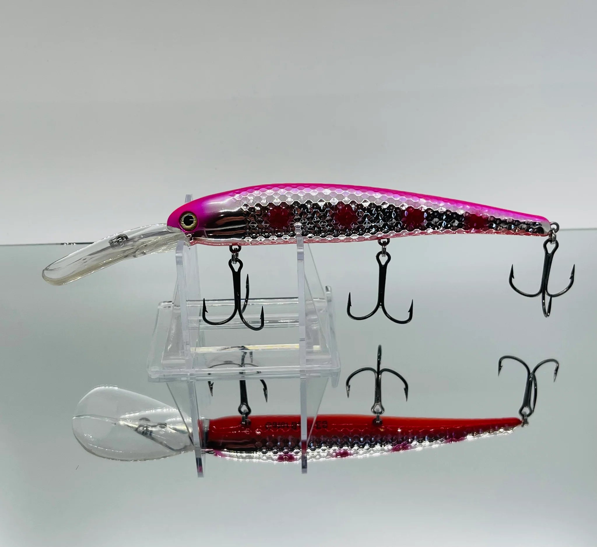 dan lure fishing Stellie Dan
