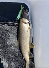 bite my herring artificial herring bait